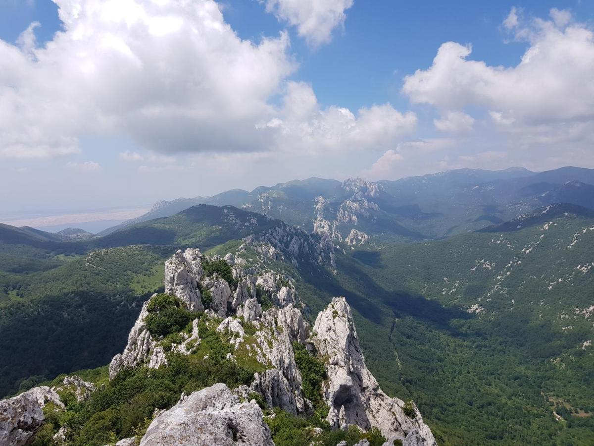 Mungos Apartment Cesarica Zewnętrze zdjęcie